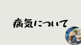 病気について